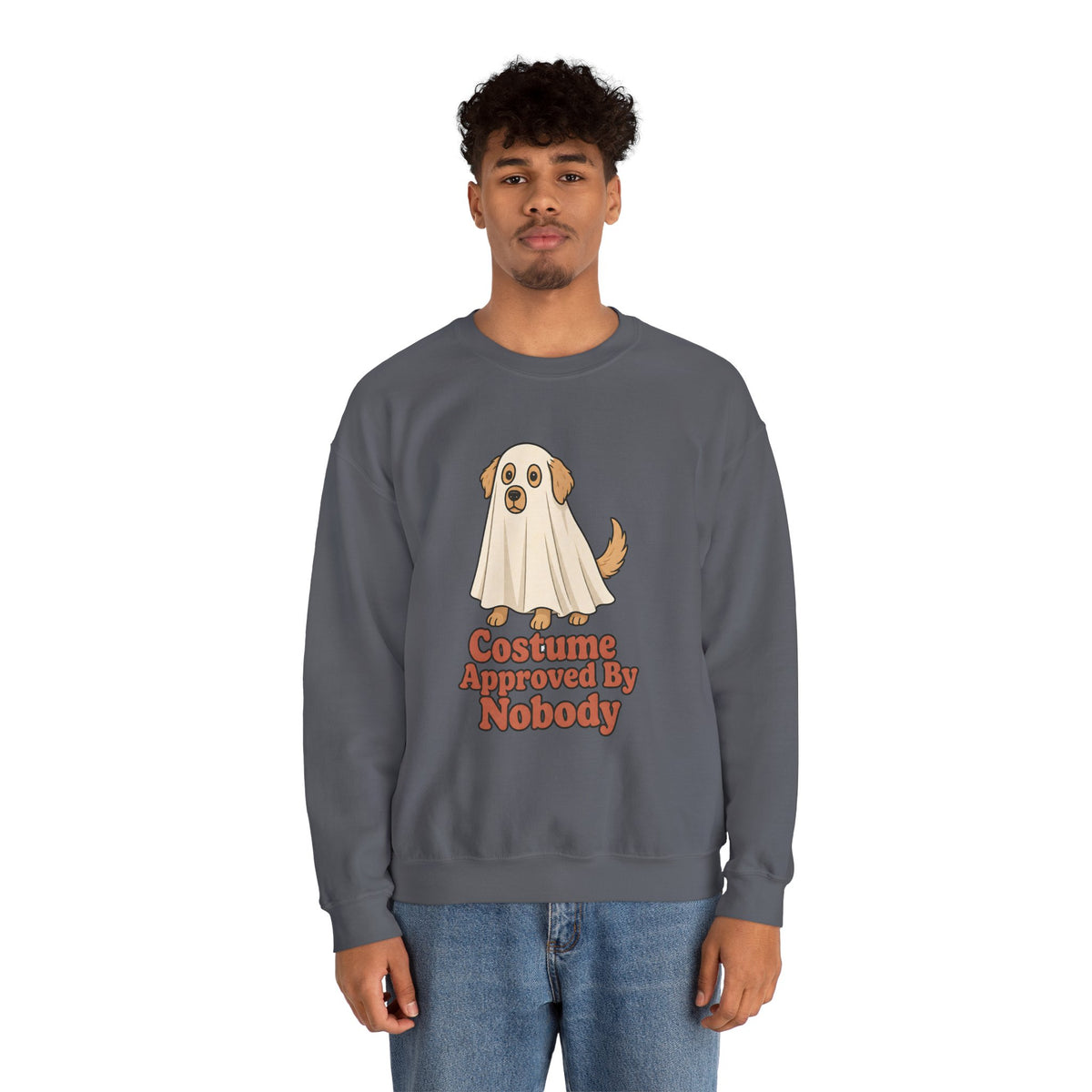 Costume Approved By Nobody Sweatshirt - Charcoal - On Model Male